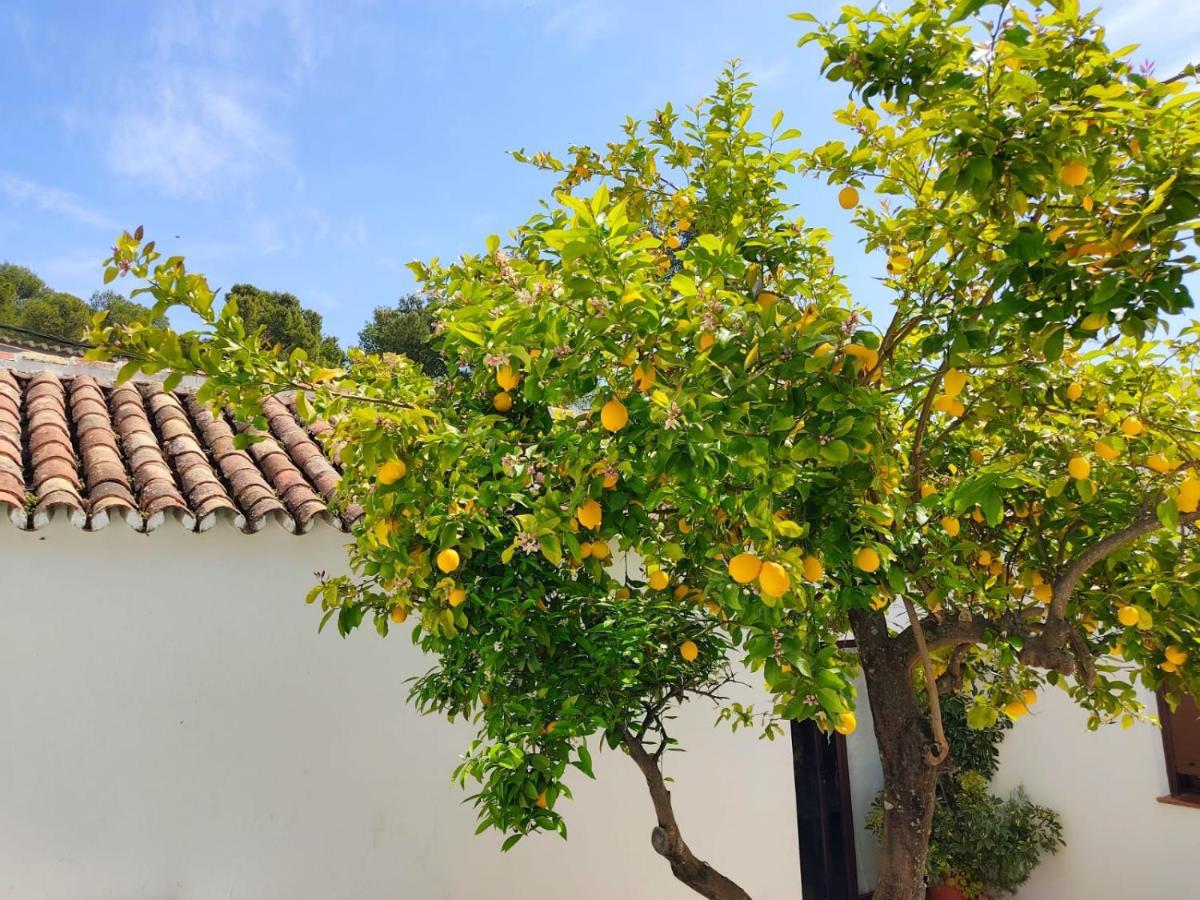 Casa El Patio Del Limon Holiday home *
